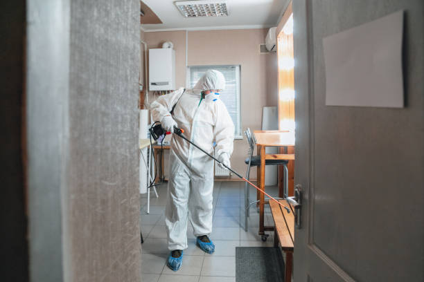 Environmental Consulting for Mold Prevention in Batesburg Leesville, SC